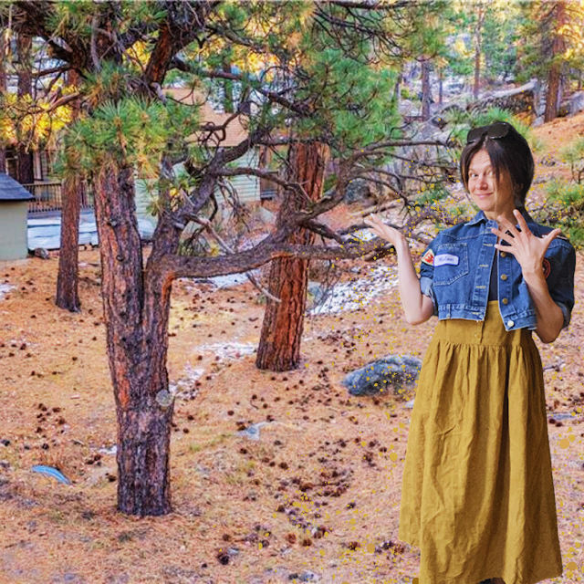 JUST LISTED – 0 CRESCENT LN, BIG BEAR LAKE, CA 92315 – ,900