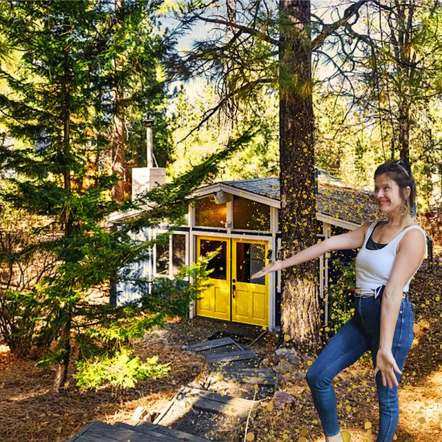 JUST REDUCED – 1141 ALTA VISTA AVE, BIG BEAR CITY, CA 92314 – 5,000