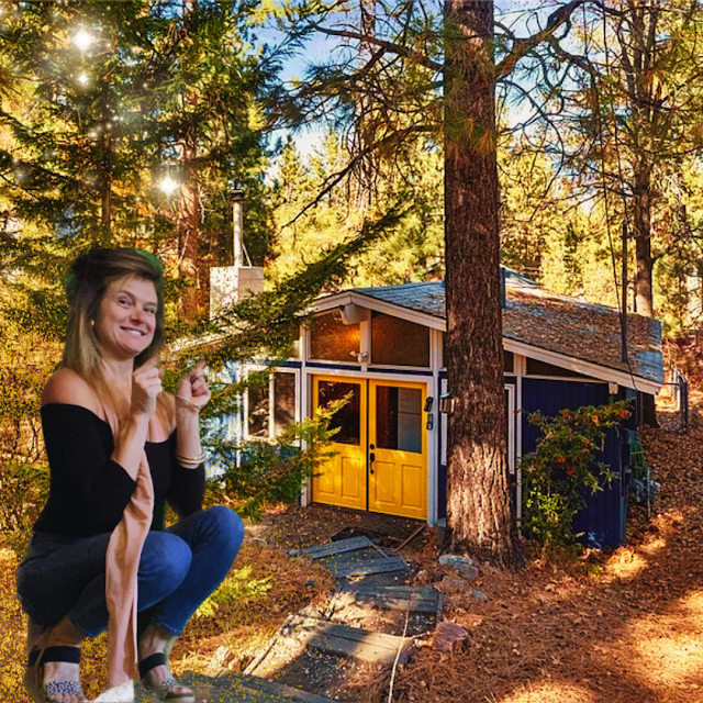 JUST REDUCED – 1141 ALTA VISTA AVE, BIG BEAR CITY, CA 92314 – 5,000