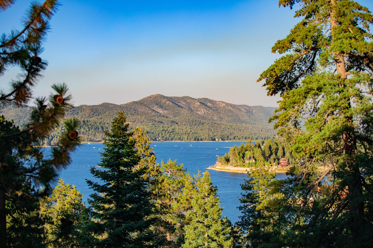 How to Sell a House in Big Bear Lake, CA: What to Ask Before Hiring a Listing Agent